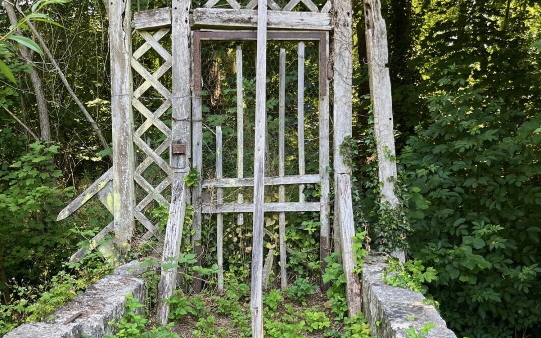 Comment savoir si j’ai besoin d’une psychothérapie ? 